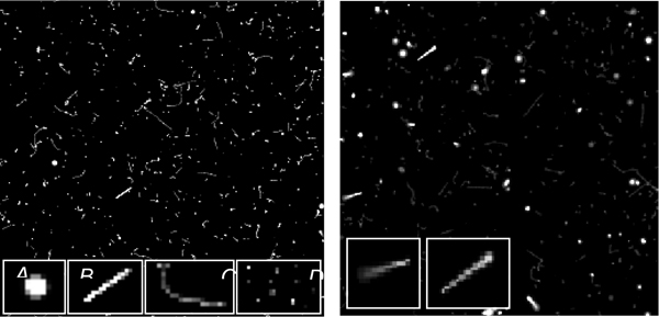 Particle tracking and calorimeter